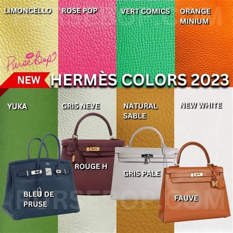 hermes constance colors 2024|hermes constance 24 review.